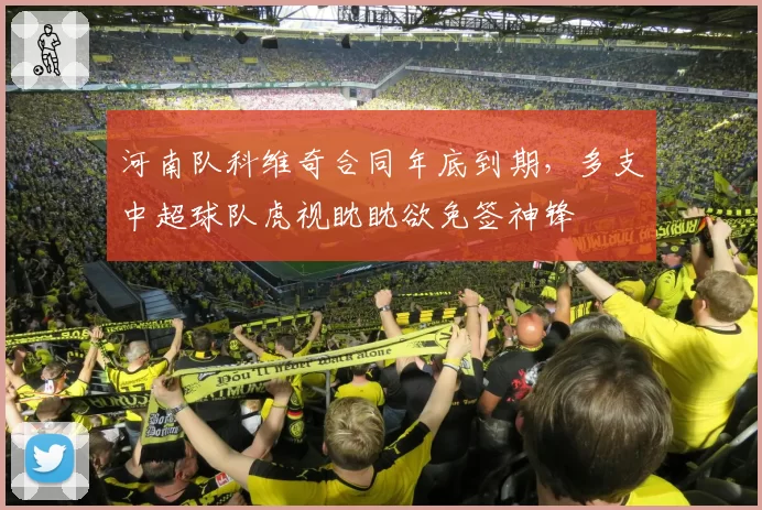 河南队科维奇合同年底到期，多支中超球队虎视眈眈欲免签神锋