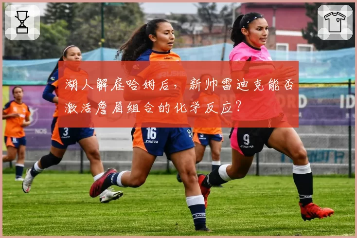 湖人解雇哈姆后，新帅雷迪克能否激活詹眉组合的化学反应？
